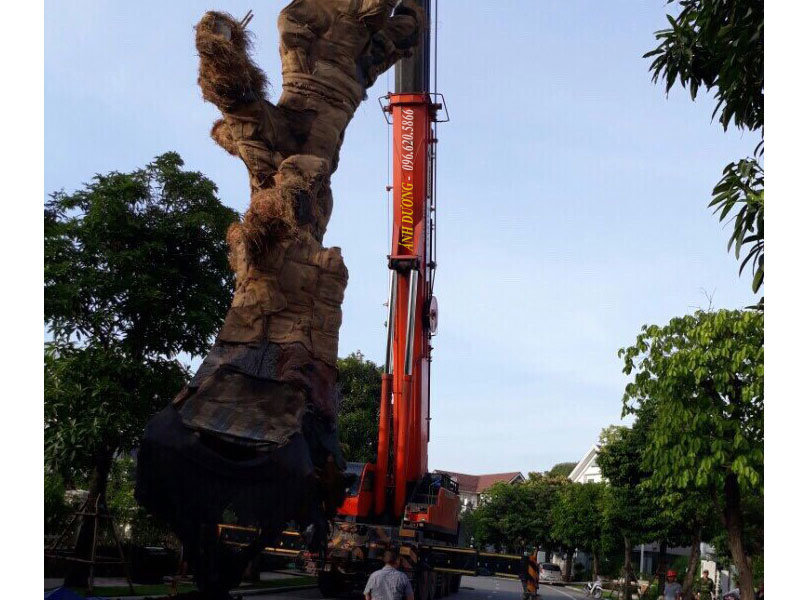 Xe cẩu lốp Tadano - Cho Thuê Xe Cẩu ánh Dương - Công Ty Cổ Phần Thương Mại Và Vận Tải ánh Dương